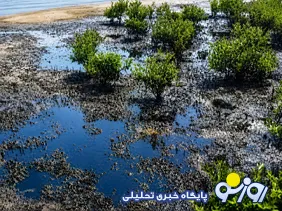 بحران لکه‌های نفتی در قشم
