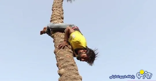 مرد هندی از درخت «برعکس» بالا رفت + تصویر