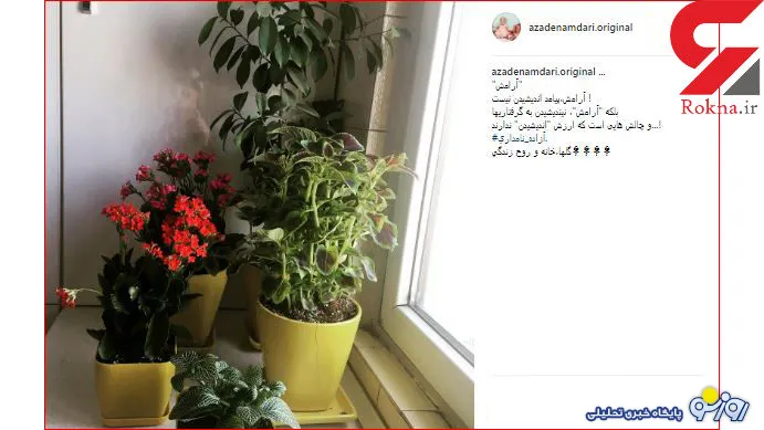 آزاده نامداری به آرامش برگشت +عکس