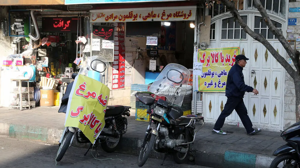 کالابرگ چقدر از سفره را پر می‌کند؟