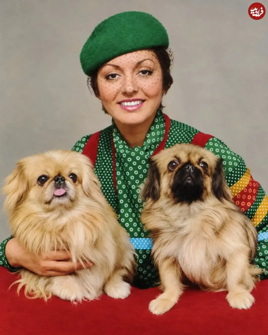 photogoogoosh_1791481226_4003557120361561452_47171307983_11zon