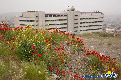 بیمارستان فوق‌تخصصی محک 10 ساله شد