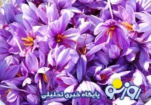 قصه پر غصه تقلب در طلای سرخ ایرانی