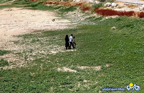 زاینده رود سبز شد! +عکس