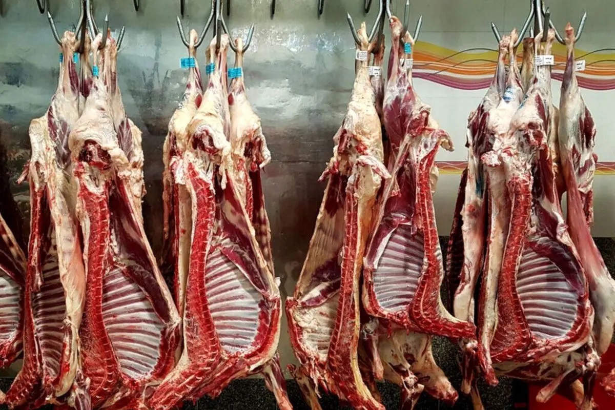 قیمت جدید گوشت قرمز امروز ۲۶ مرداد ۱۴۰۵ قیمت جدید گوشت قرمز امروز ۲۶ مرداد ۱۴۰۵