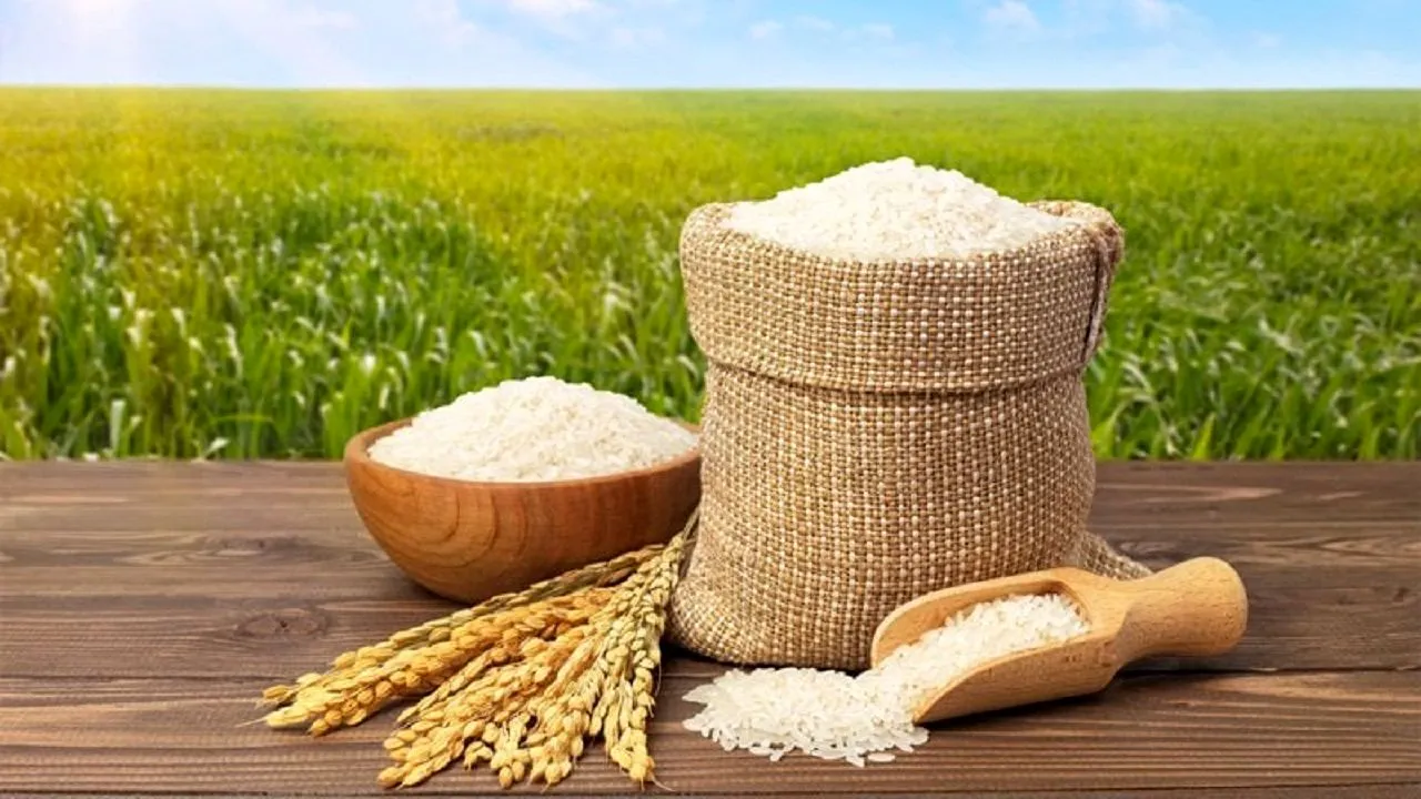 قیمت جدید برنج ایرانی