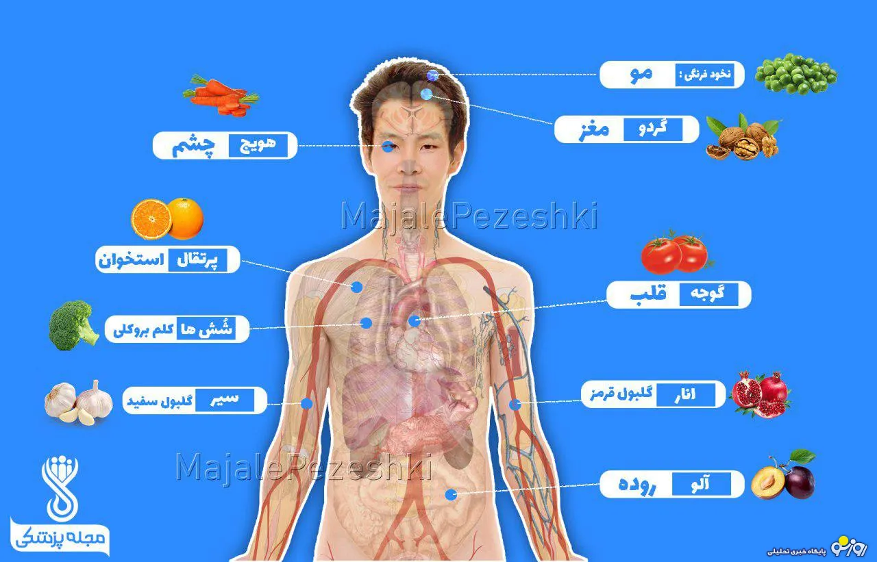 خواص خوراکی ها برای اعضای مختلف بدن +اینفوگرافی
