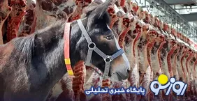 گوشت خر و الاغ مهمان سفره‌های ایرانیان شده است!