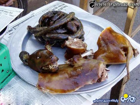 فروش گوشت سگ به جای گوسفند در کشور ! ؟