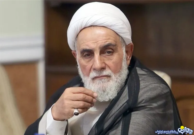 ناطق نوری:بازنشسته سیاسی نشده‌ام/در عرصه سیاسی فعال هستم و هر روز با گروه های مختلف سیاسی دیدار دارم