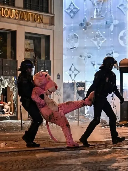 دستگیری پلنگ صورتی در اعتراضات فرانسه! دستگیری پلنگ صورتی در اعتراضات فرانسه!
