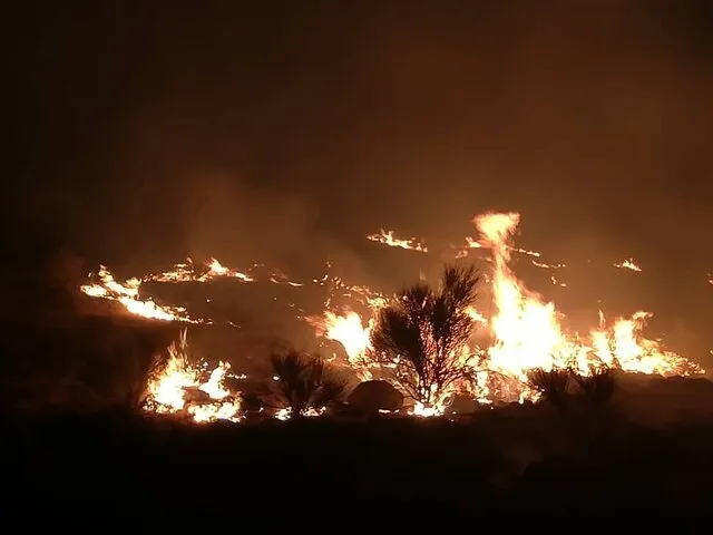 آتشسوزی گسترده در کوههای بلوار رسول اعظم(ص) شیراز آتشسوزی گسترده در کوههای بلوار رسول اعظم(ص) شیراز