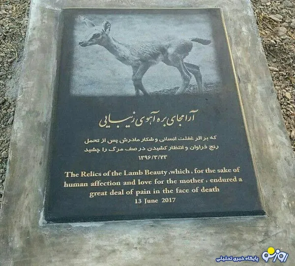 اولین سنگ قبر حیوانات در ایران + عکس